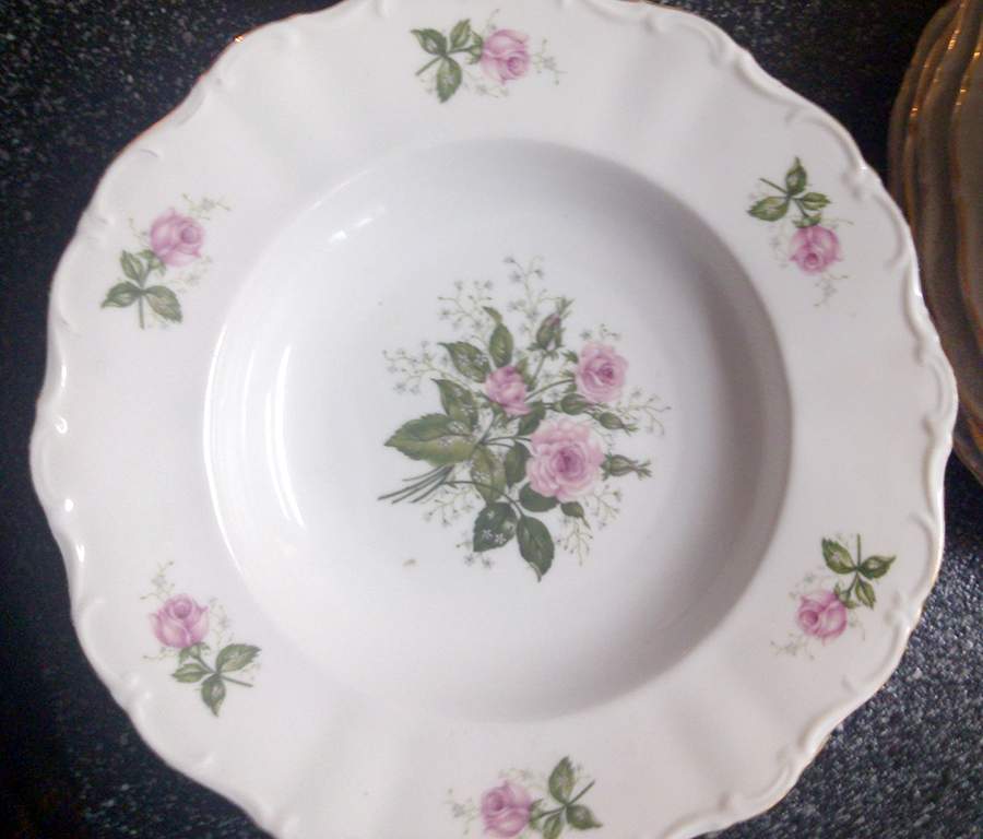 SLT440 Dinner Plate by Seltmann-1