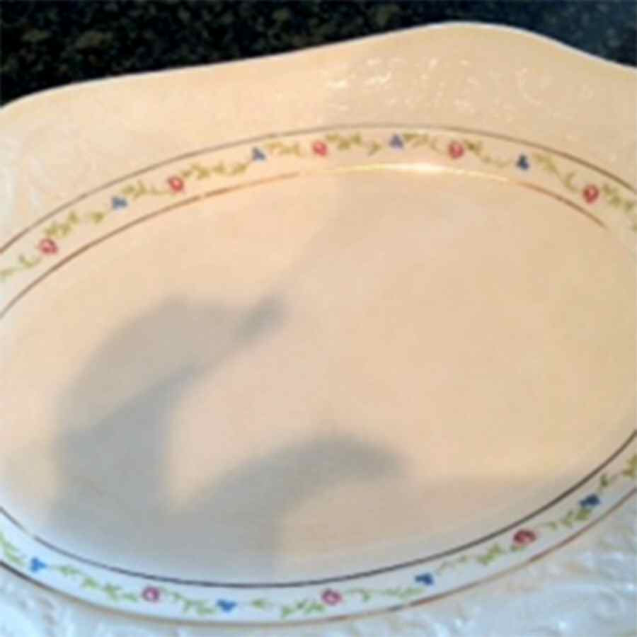 STB409 Square Salad Plate by Steubenville-1