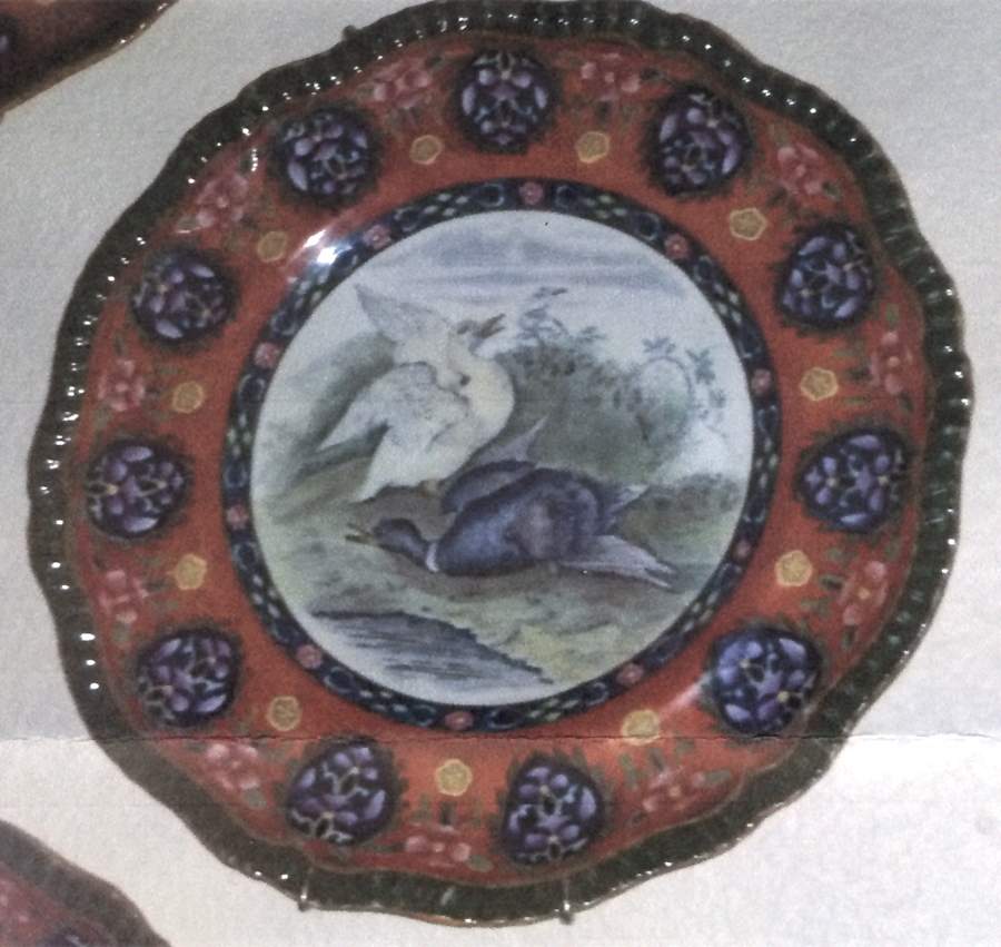 SP646 Dinner Plate by Spode-1