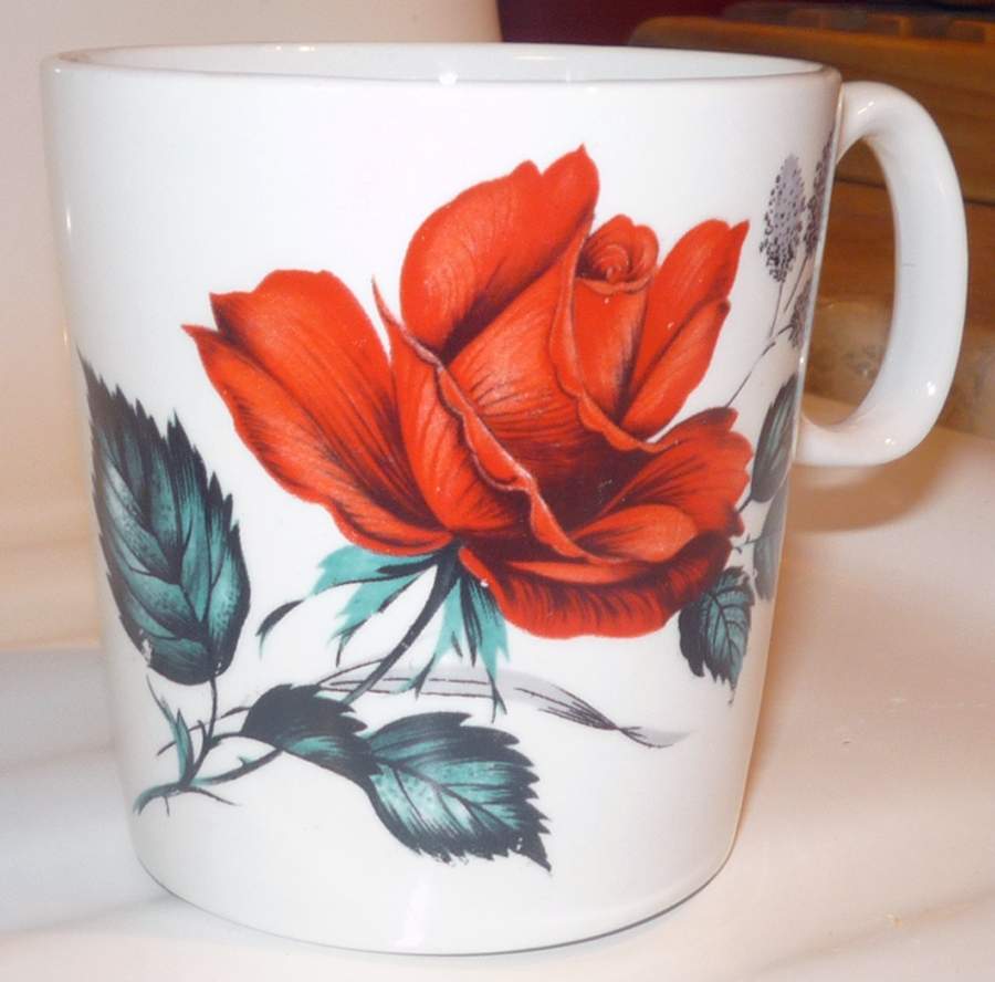 SWI73 Flat Cup by Swinnertons-1