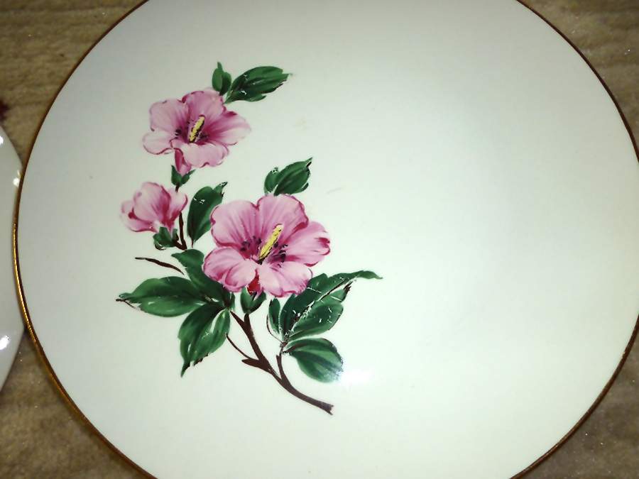 SAB114 Dinner Plate by Sabin-1