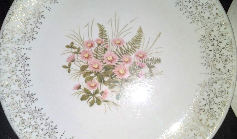 STB411 Dinner Plate by Steubenville-1