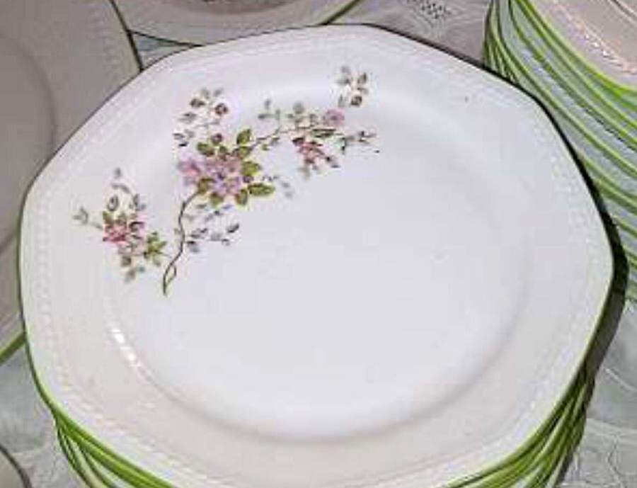 SCG129 Dinner Plate by Schirnding-1