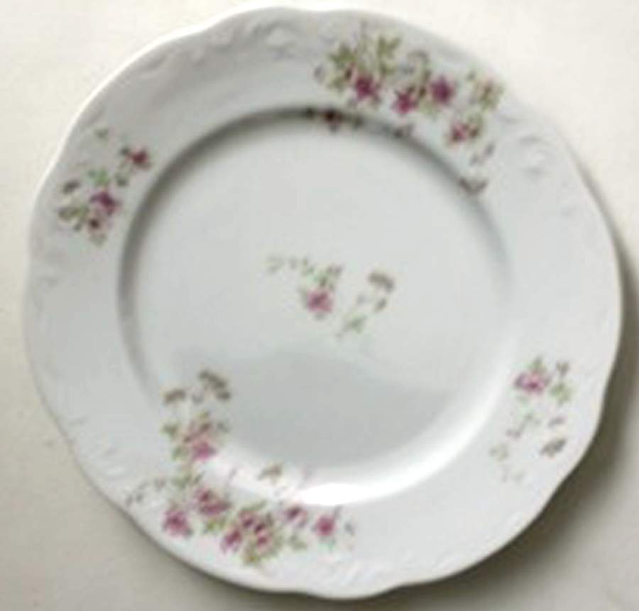 SY1124 Dinner Plate by Syracuse-1