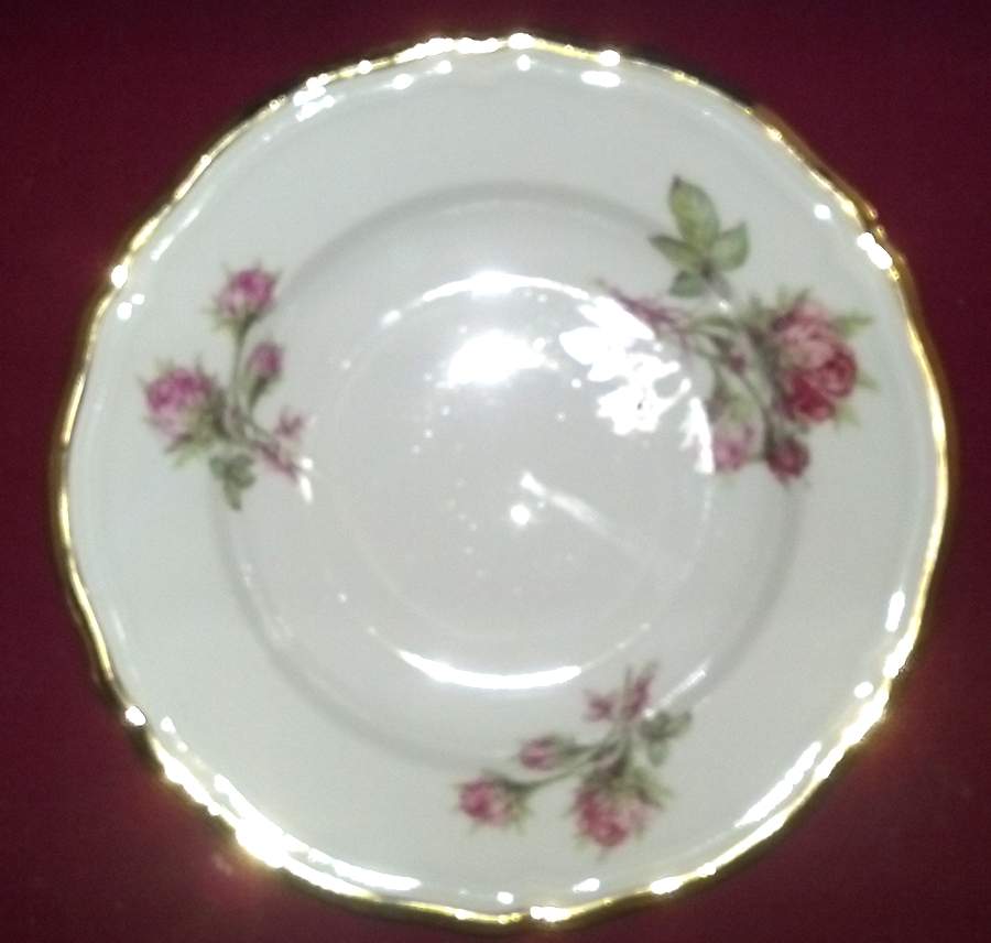 SLT448 Dinner Plate by Seltmann-1