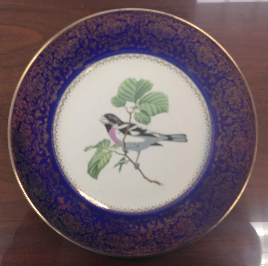 SLM410 Dinner Plate by Salem-1