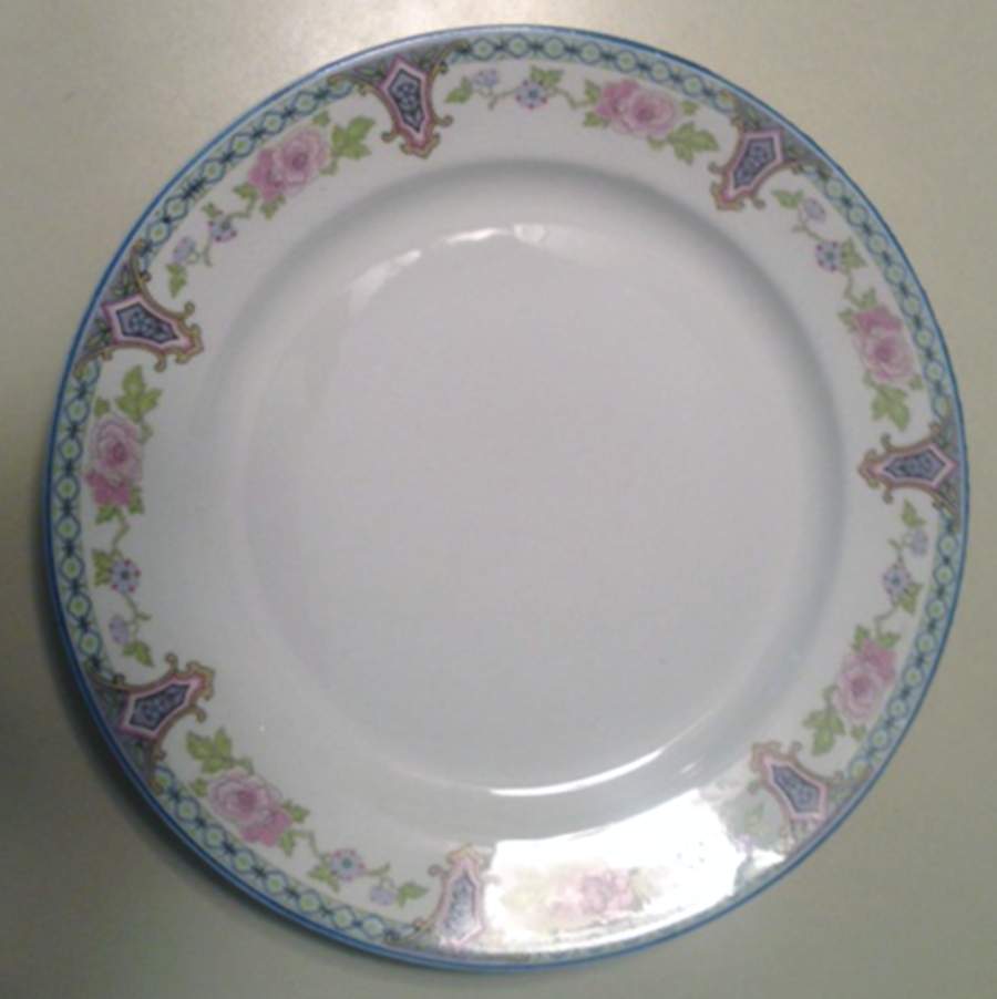 STB416 Dinner Plate by Steubenville-1