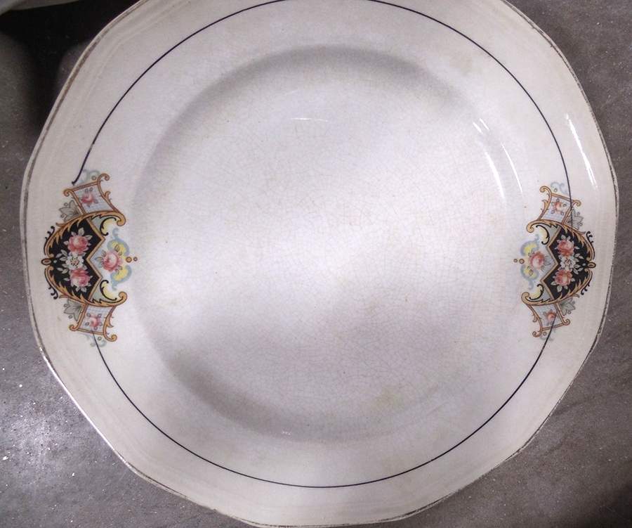 SLM167 Dinner Plate by Salem-1
