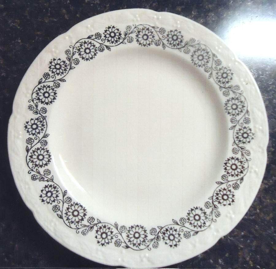 SLM412 Dinner Plate by Salem-1