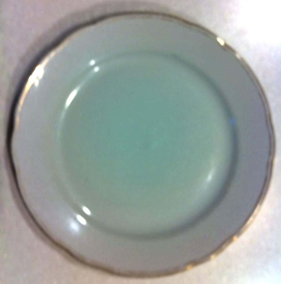 Feston (Rim) Dinner Plate by Schirnding-1