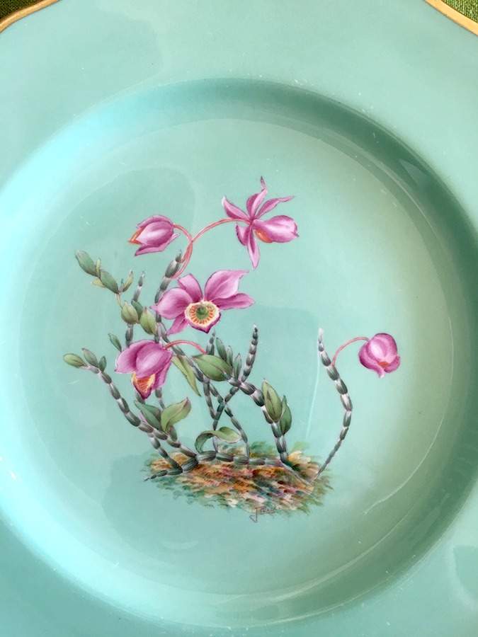 Y5627 Dinner Plate by Spode-1