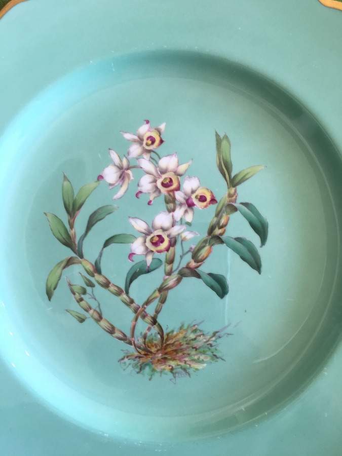 Y5627 Dinner Plate by Spode-1