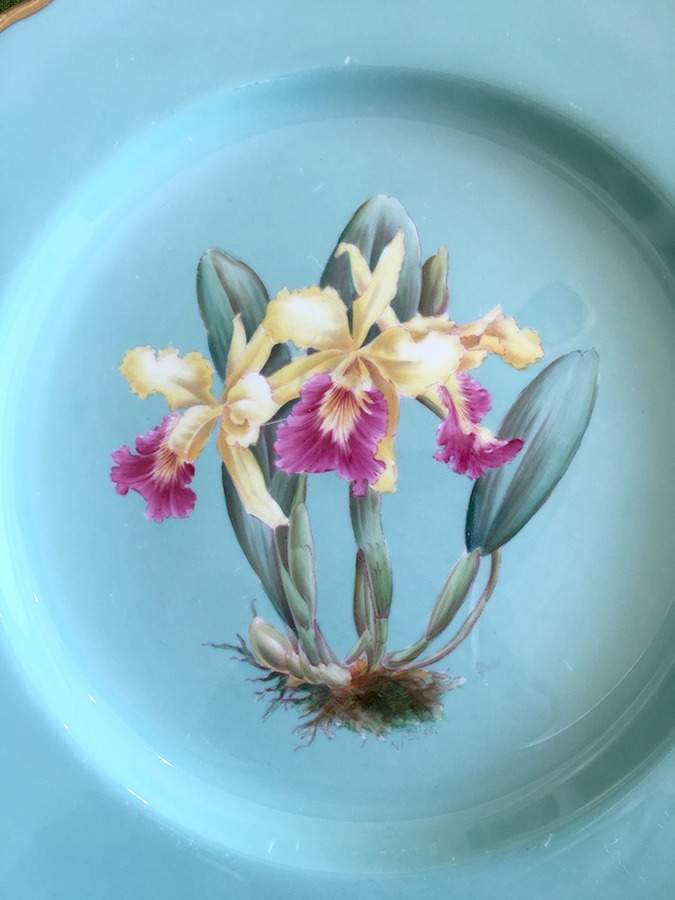 Y5627 Dinner Plate by Spode-1