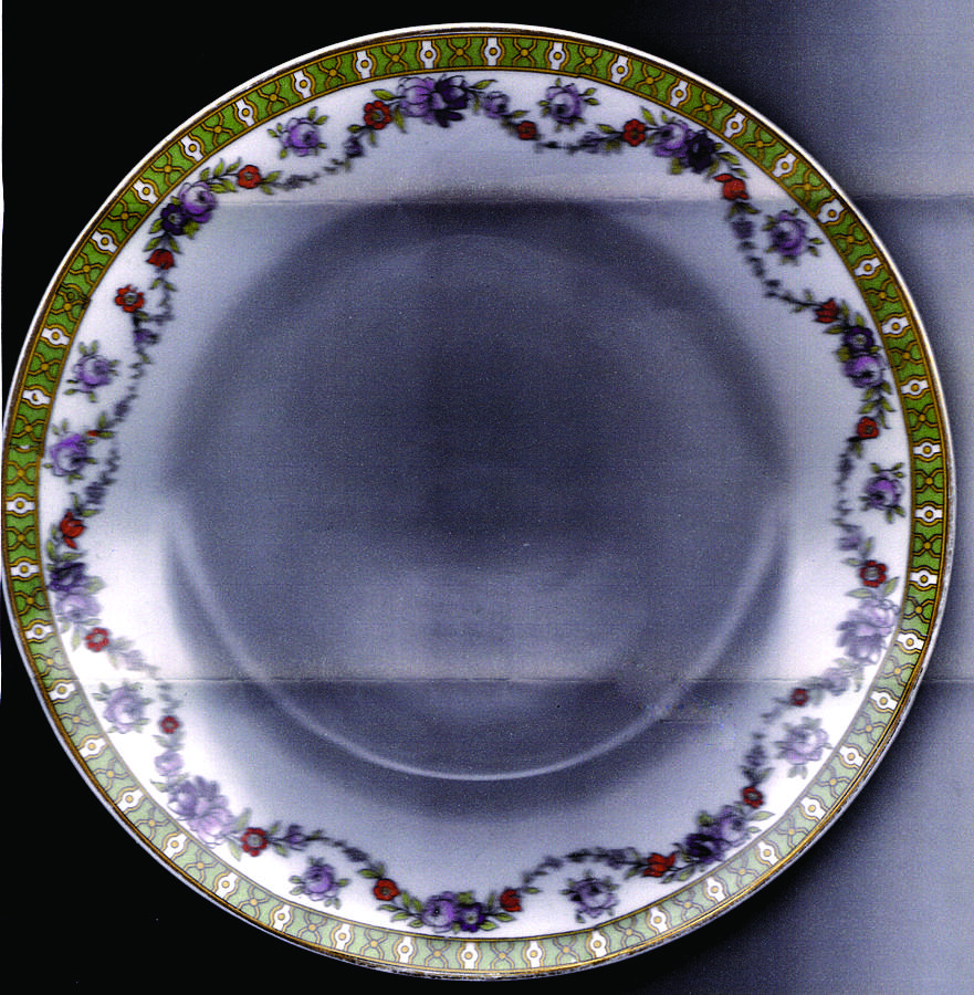 SCD141 Dinner Plate by Schonwald-1