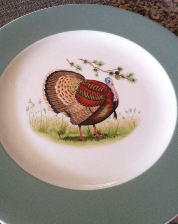 SY1135 Dinner Plate by Syracuse-1