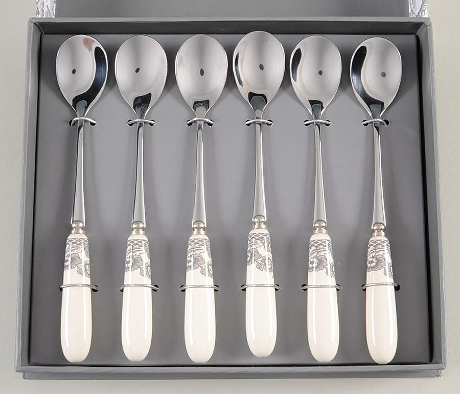 Delamere Rural Teaspoon - Set of 6 Boxed by Spode-1