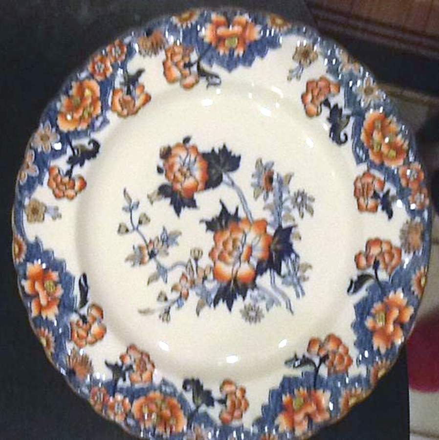 SP662 Dinner Plate by Spode-1