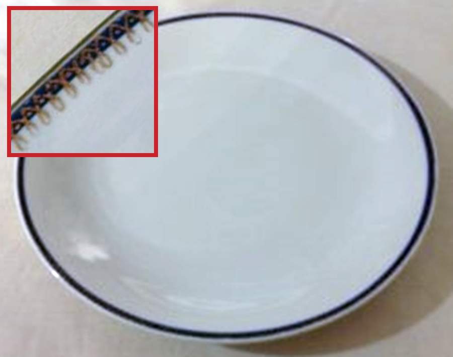 SLT453 Dinner Plate by Seltmann-1