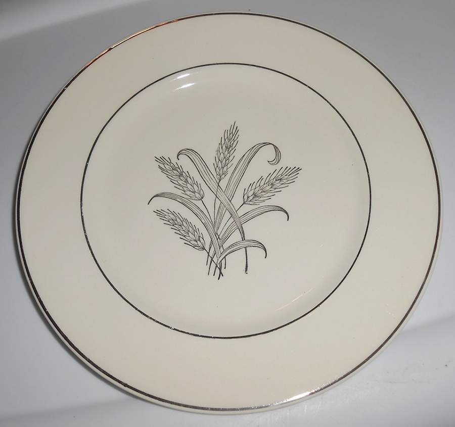 SLM415 Dinner Plate by Salem-1