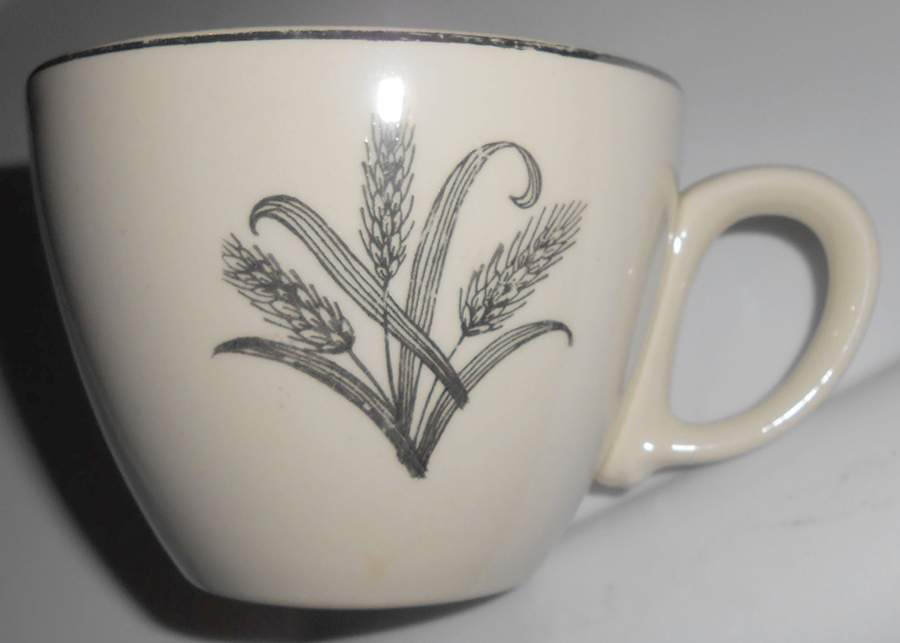 SLM415 Flat Cup by Salem-1