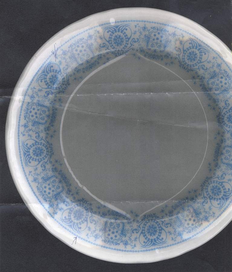 SHO381 Dinner Plate by Shenango-1