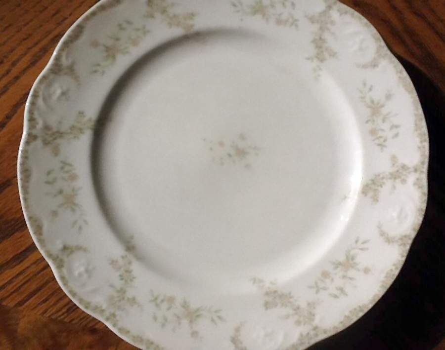 SY1149 Dinner Plate by Syracuse-1