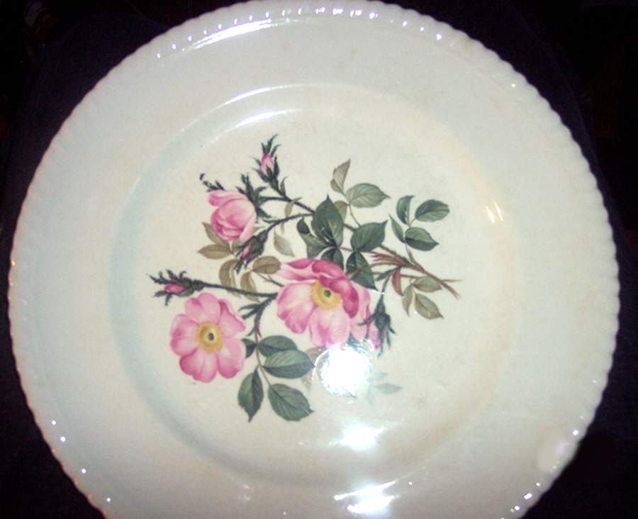 Wild Rose Dinner Plate by Sovereign Potters-1