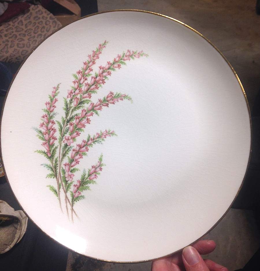 SAB117 Dinner Plate by Sabin-1