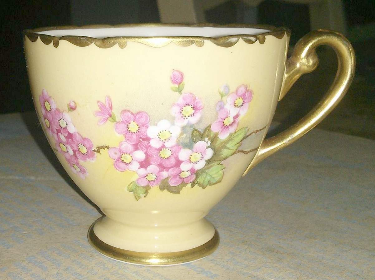 Blossom Footed Cup by Shelley-1