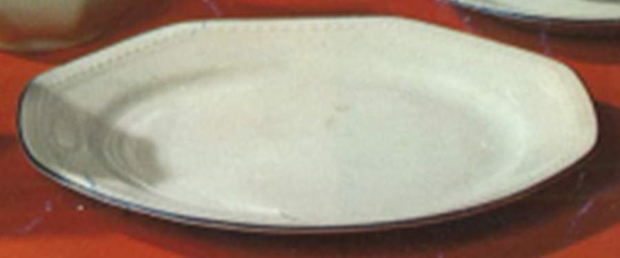 SCG136 Salad Plate by Schirnding-1