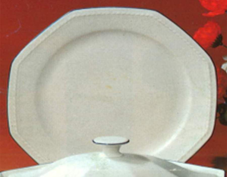 SCG136 Dinner Plate by Schirnding-1