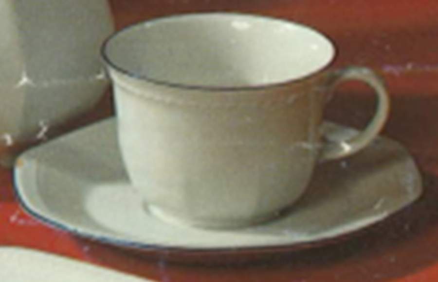 SCG136 Flat Cup & Saucer Set by Schirnding-1