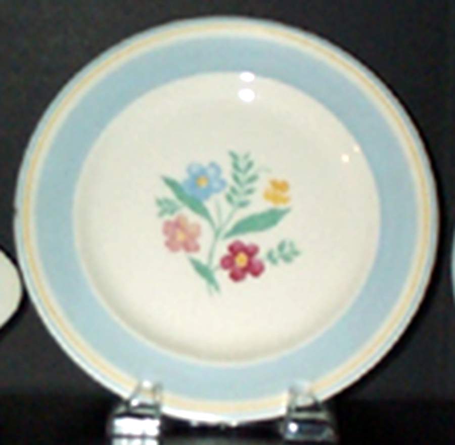 STB422 Dinner Plate by Steubenville-1