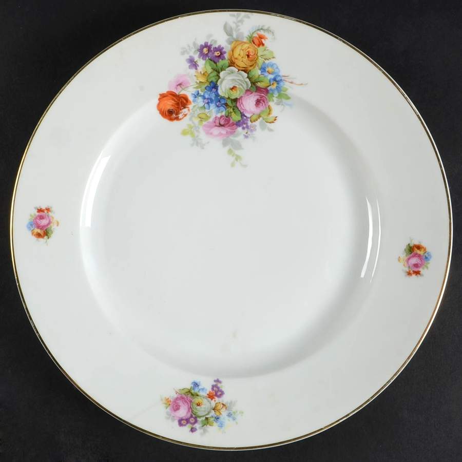 SCD146 Dinner Plate by Schonwald-1