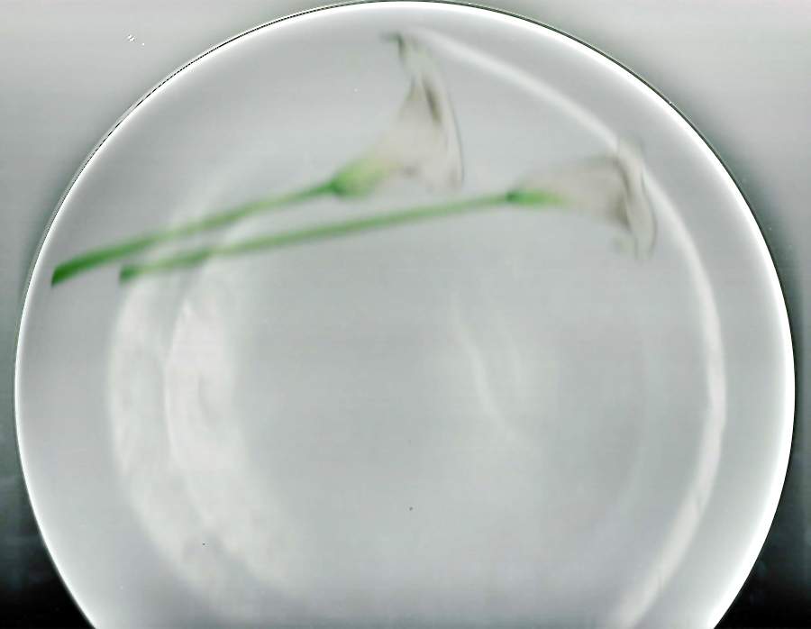 SLT462 Dinner Plate by Seltmann-1