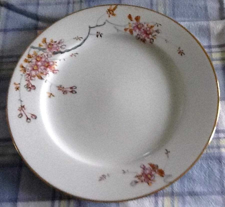 S2I2 Dinner Plate by Sinto-1