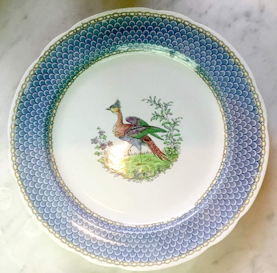 Y5376 Dinner Plate by Spode-1