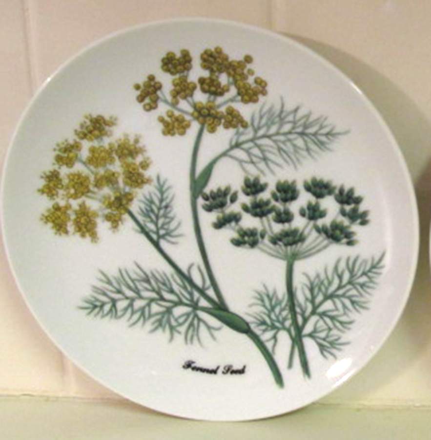 SHA5 (Smooth) Salad Plate by Shafford-1