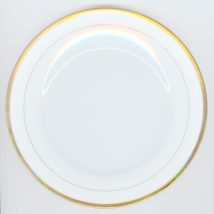 SLT464 Dinner Plate by Seltmann-1