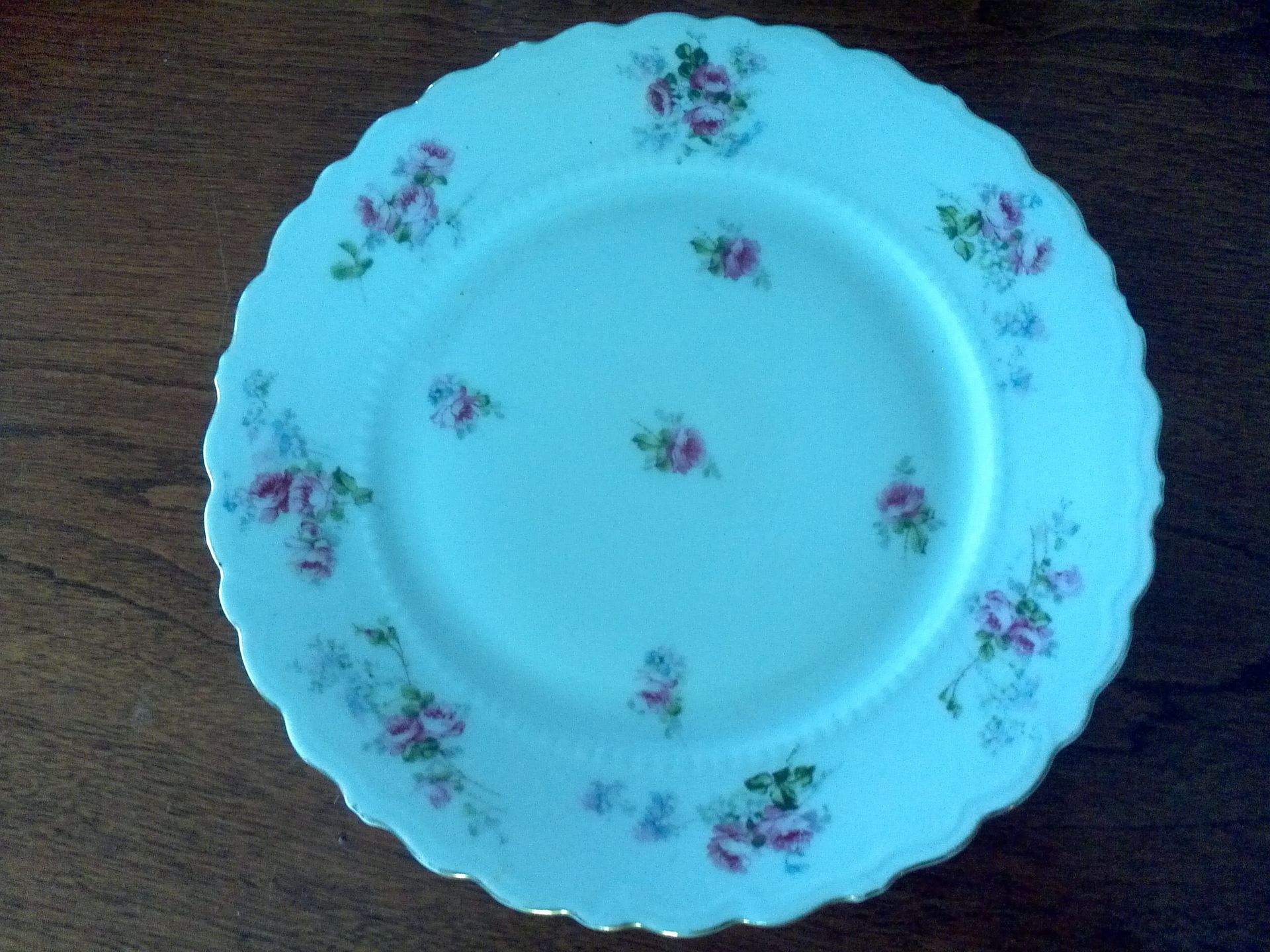 SSQ5 Salad Plate by SLS Austria-1