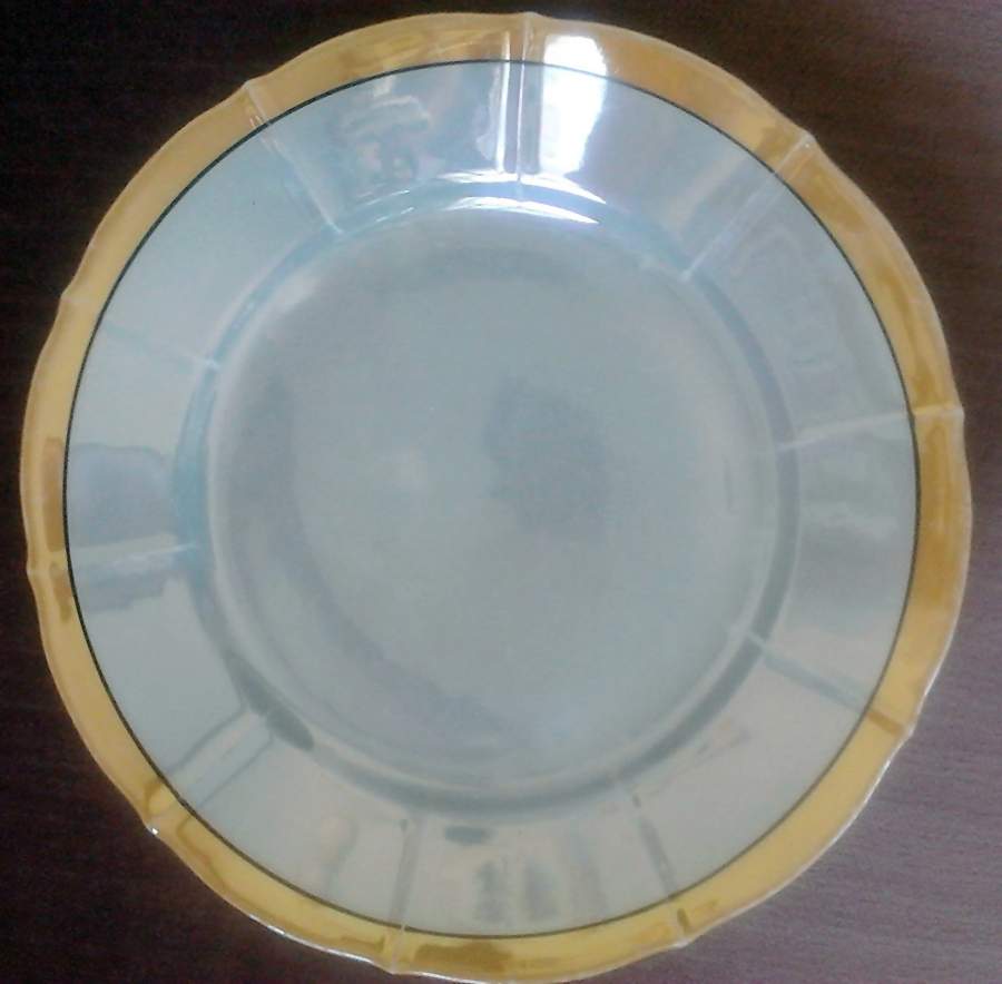 SCD149 Dinner Plate by Schonwald-1