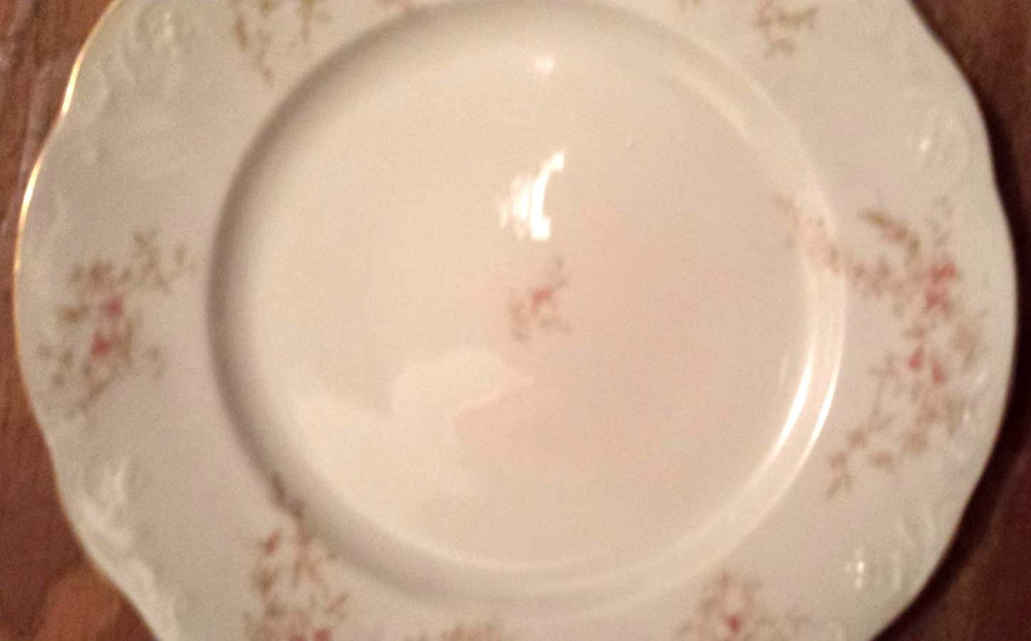 SY1161 Dinner Plate by Syracuse-1