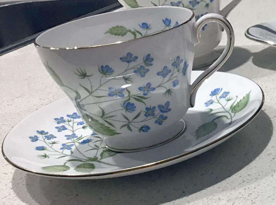 American Brooklime Footed Cup & Saucer Set by Shelley-1
