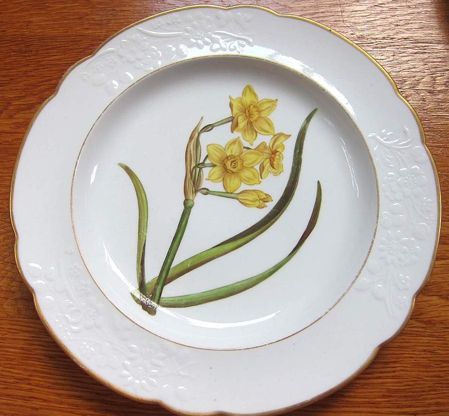 SP680 Salad Plate by Spode-1