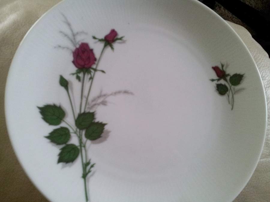 25564 Dinner Plate by Seltmann-1