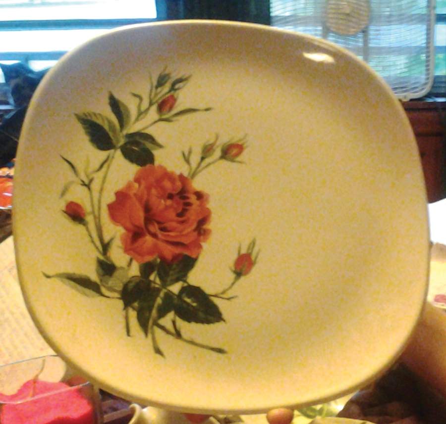 SLM418 Dinner Plate by Salem-1