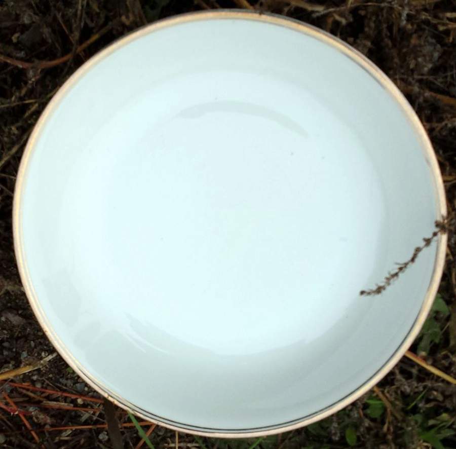 SCD150 Dinner Plate by Schonwald-1