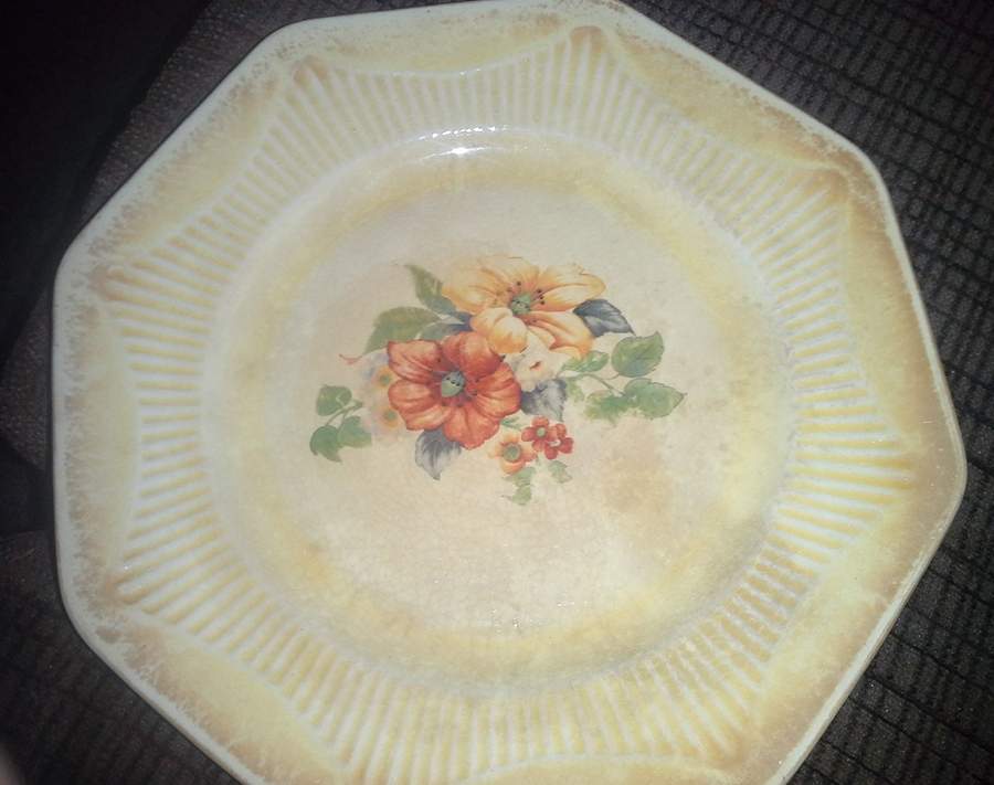SLM419 Dinner Plate by Salem-1