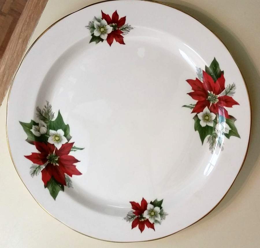 SPE28 Dinner Plate by Spencer Stevenson -1
