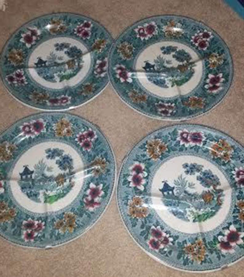 STV1 Multicolor Grill Plate by John Steventon & Son-1